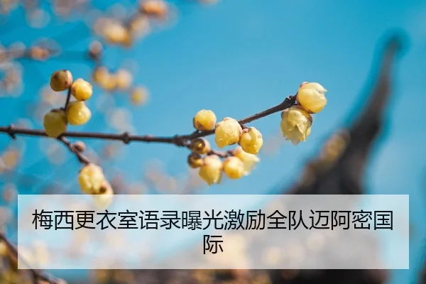 mei-xi-geng-yi-shi-yu-lu-bao-guang-ji-li-quan-dui-mai-a-mi-guo-ji-2-615.jpg
